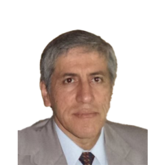 Mg. Alberto Fernández